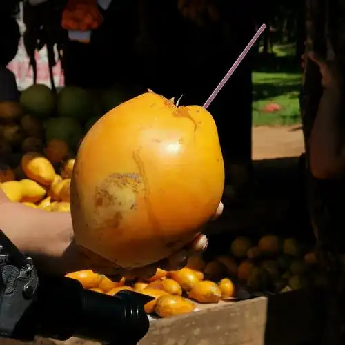 斯里兰卡之行 2020年1月 - 美篇