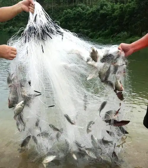 z鱼网粘网三层渔网丝网挂网捕鱼网鲫鱼沉网浮网渔具