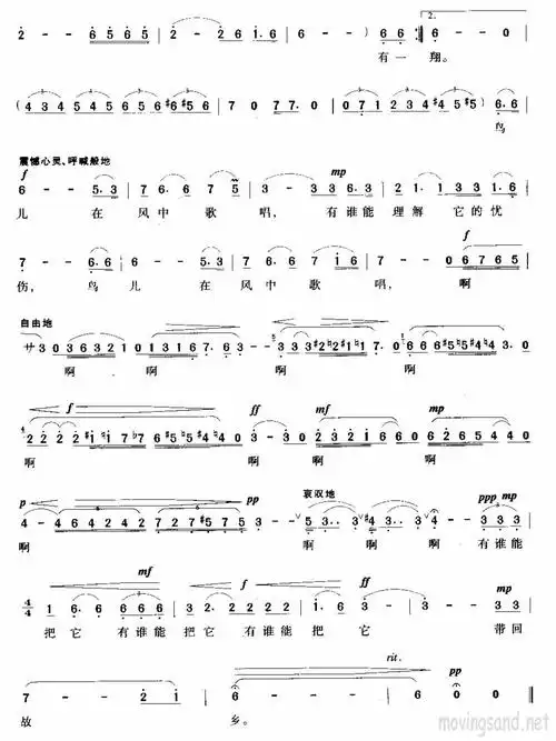 鸟儿在风中歌唱 歌谱 简谱