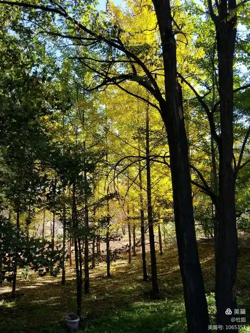 走进大自然,享受秋天景色的多姿多彩. - 美篇