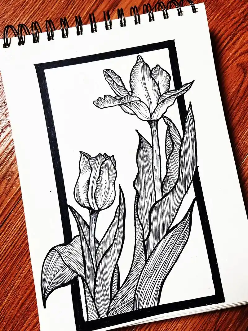 黑白装饰画|线描花卉|郁金香花语:最浪漫的故事,最永恒的爱  - 抖音