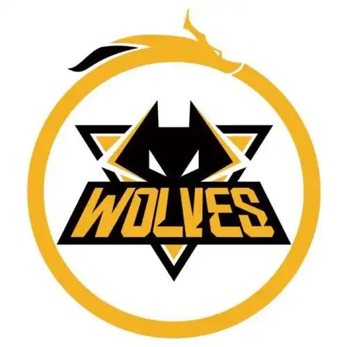 狼队进军kpl后老林终于解除封印或引入ttg选手担任首发打野