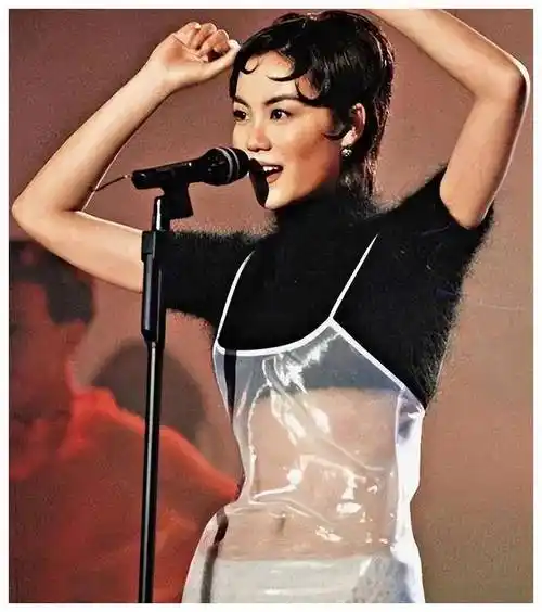 15 张珍贵老照片:天后王菲惊艳透视装!,红毯风采,绝美身姿