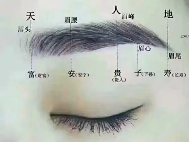 (左眉毛上方有痣的男人好不好,有没有图片) - 吉祥网,生辰八字算命