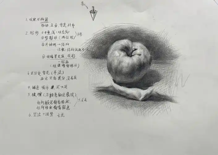 静物素描苹果单体