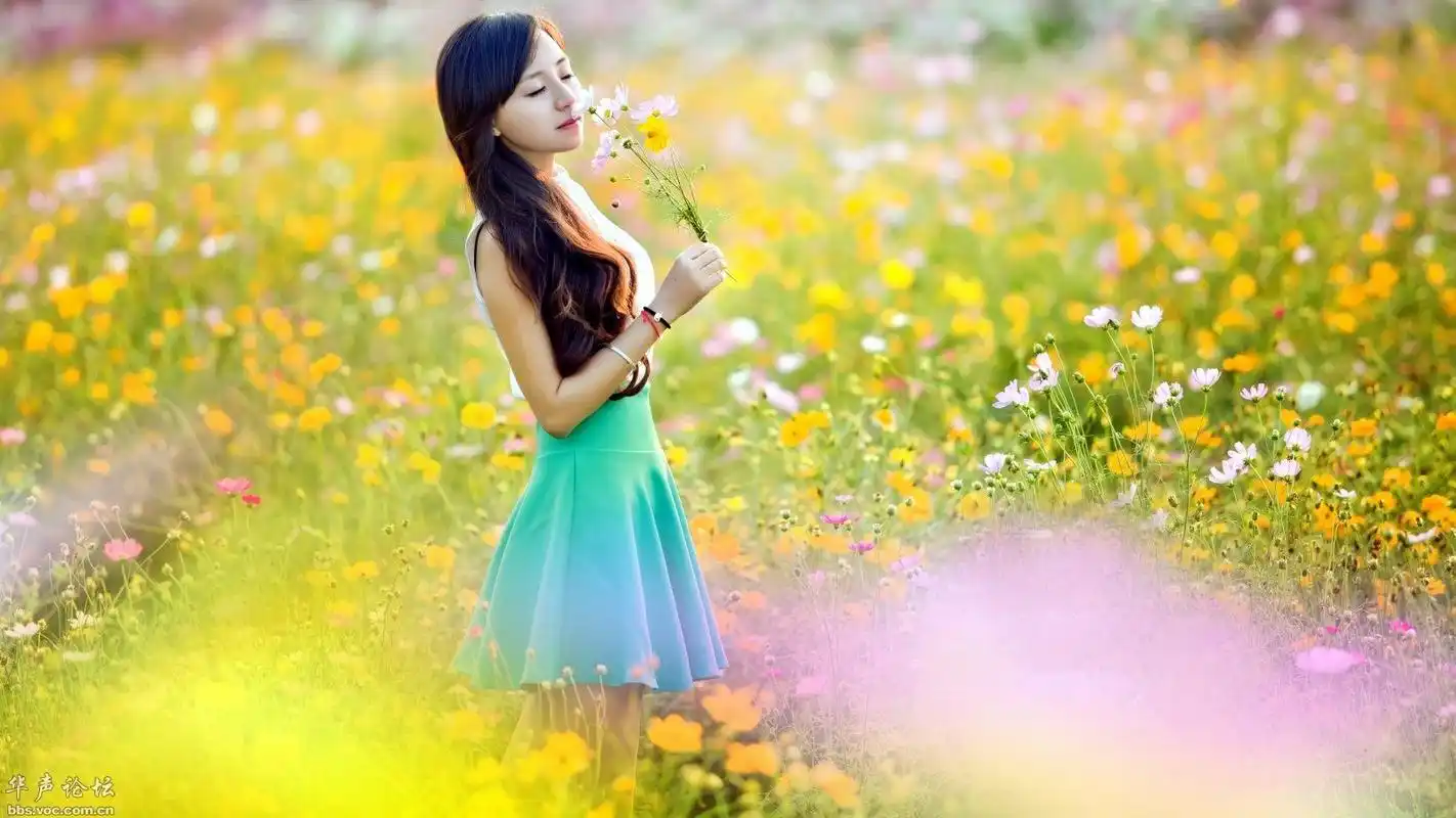气质美女花海写真清新长发气质写真图片