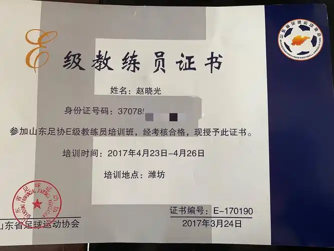 国家承认专业足球教练