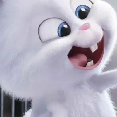 爱宠大机密兔子头像高清图 爱宠小白兔头像图片