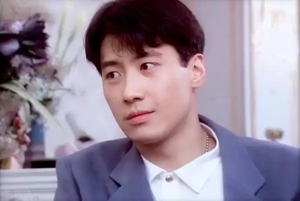 已找到|找小时候的一部电视剧|黎明演的