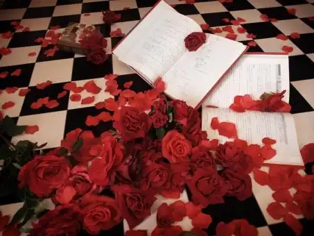 书和玫瑰