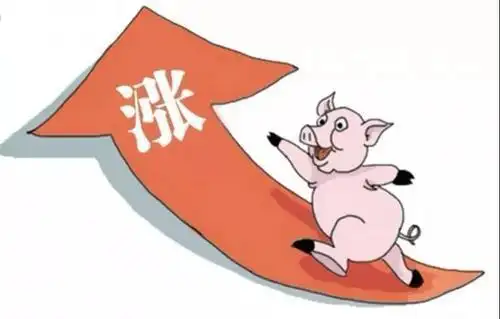 二师兄身价持续上涨与食品浪费之痛