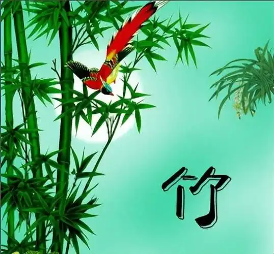 姓氏解竹子头像(姓名中有竹的人可以用的精致头像)(17)