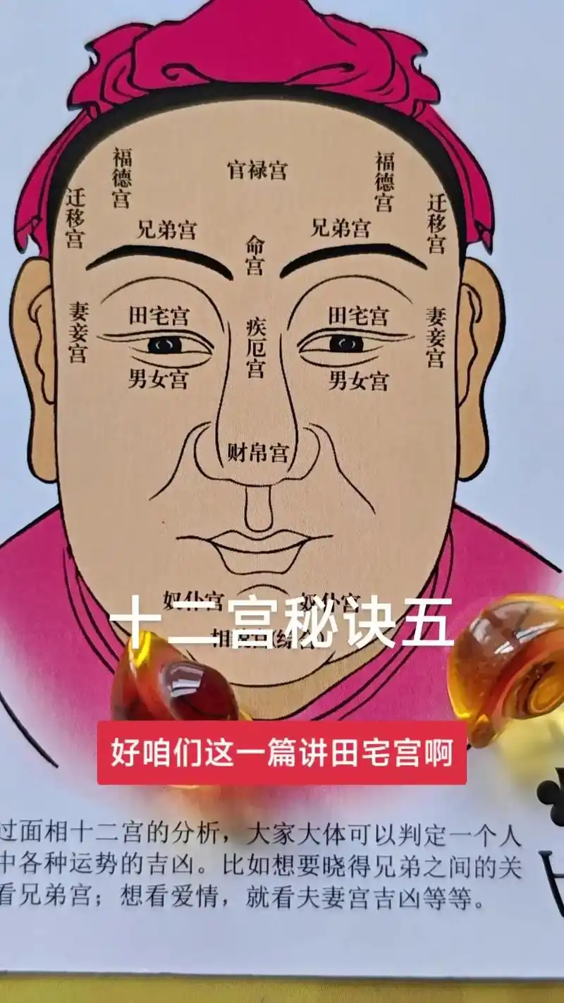 98面相学分析田宅宫位置.