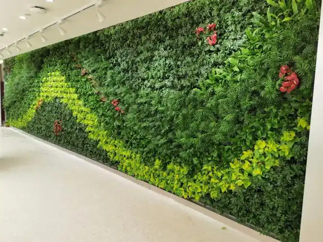 植物墙  #绿植  年前再活动一波筋骨