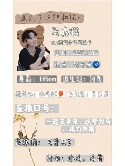 tnt  喜欢的快收藏起来吧#tnt时代少年团