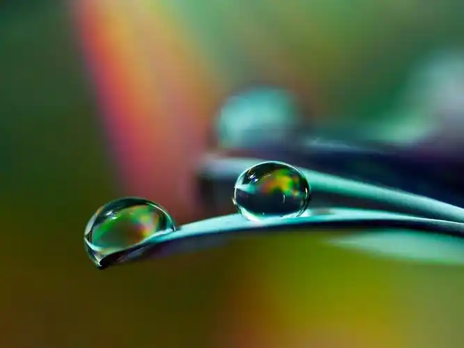 水滴微距-摄影生活高清壁纸