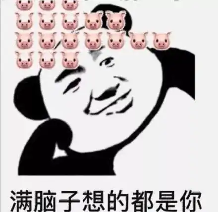 满脑子想的都是你猪猪聊天表情搞笑图片表情