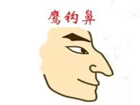 鹰钩鼻子的女人的性格和命运