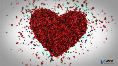 ae011 -love浪漫唯美飞舞玫瑰花瓣情人节婚礼影楼公司片头ae模板