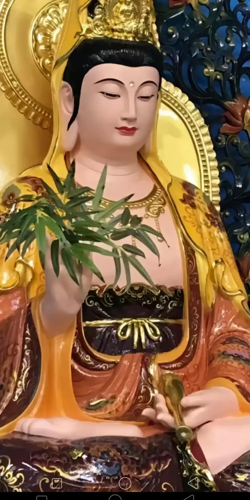 你知道观音菩萨生日@成道日吗及出家日050505阿弥陀佛记得 - 抖