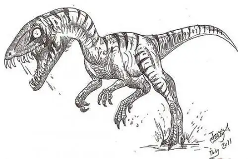 大型肉食恐龙简笔画