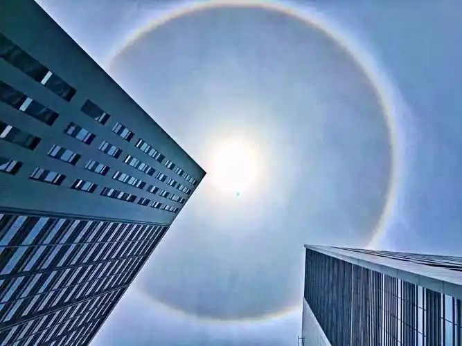 成都23日现罕见"日晕"景象 市民惊呼太美