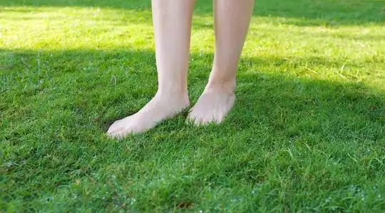 绿色的双腿图片