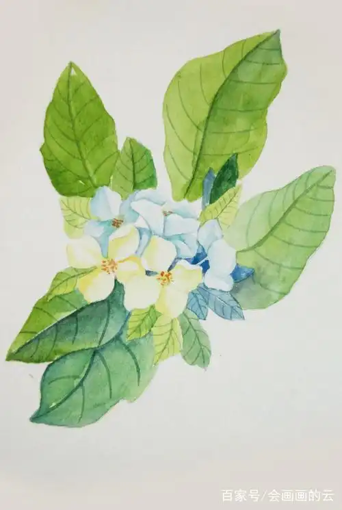 水彩手绘小清新明信片一波,喜欢的不要错过!