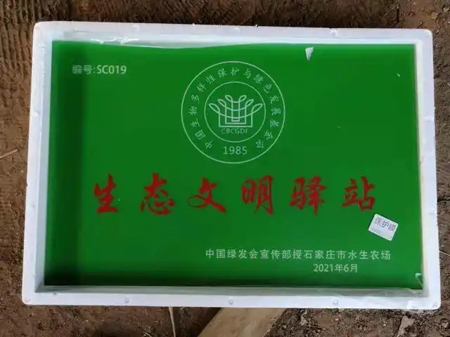 文明驿站"水生木农场"张坤:让农作物与草伴生,享受生物多样性