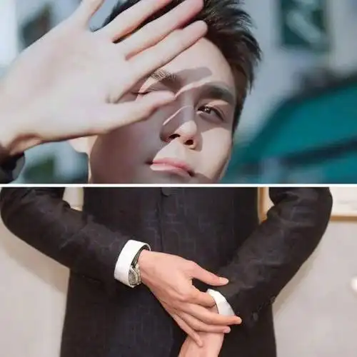 盘点娱乐圈手好看的男明星王凯第一最喜欢第四位