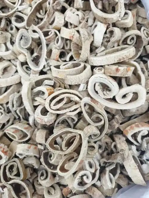 优质中药材桑白皮脱皮肉厚