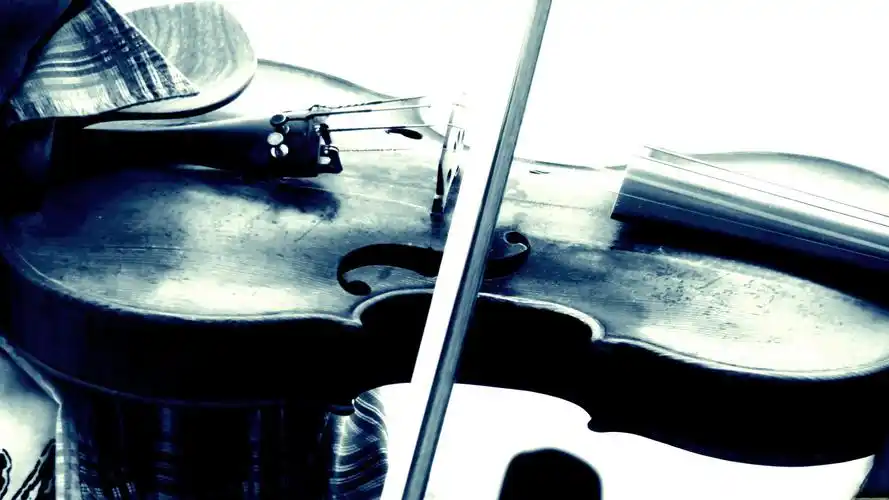 violin-小提琴乐器特写壁纸