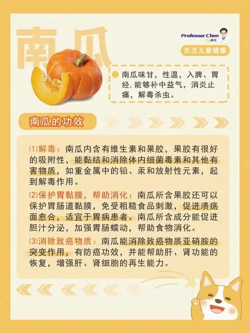 本品为葫芦科植物南瓜的果实.夏,秋果实成熟时采收.