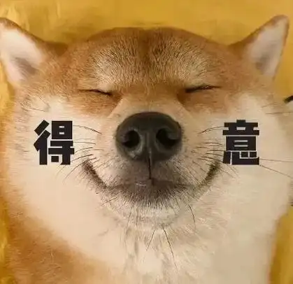 你很得意啊表情包制作斗图表情