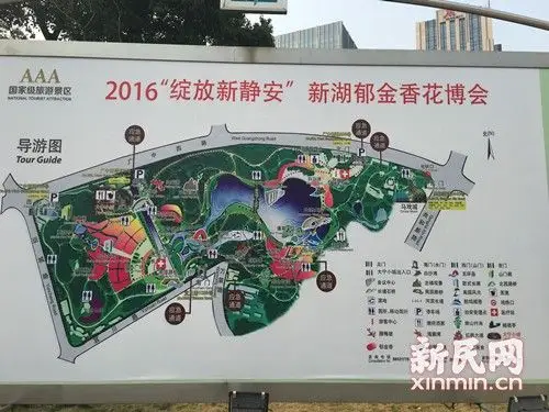 大宁公园郁金香展周六开幕 为期30天