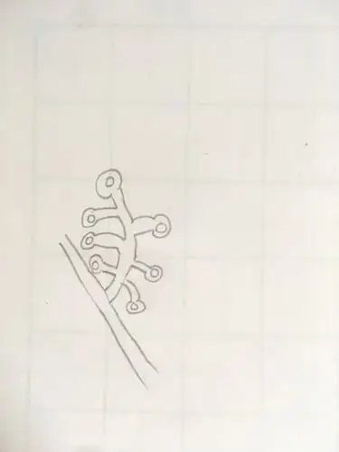 这些细丝很像蜗牛的触角……",不仅画出了爬山虎的脚,还画得那么生动