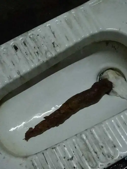 如何拉出一根50cm长的屎?