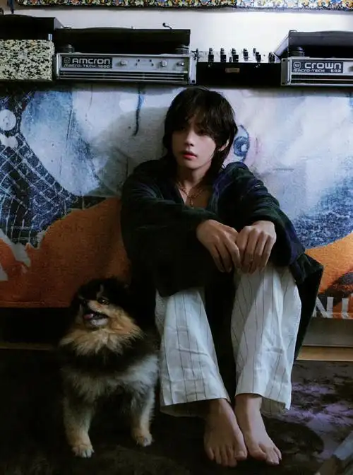 金泰亨##田柾国