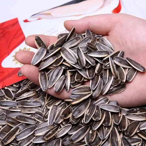 喜谈 原味瓜子 零食炒货 内蒙古精品特产葵花籽 休闲小袋 99g 5袋