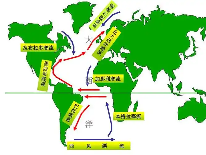 大 拉布拉多寒流 西 加那利寒流 本格拉寒流 洋 西 风 漂 流