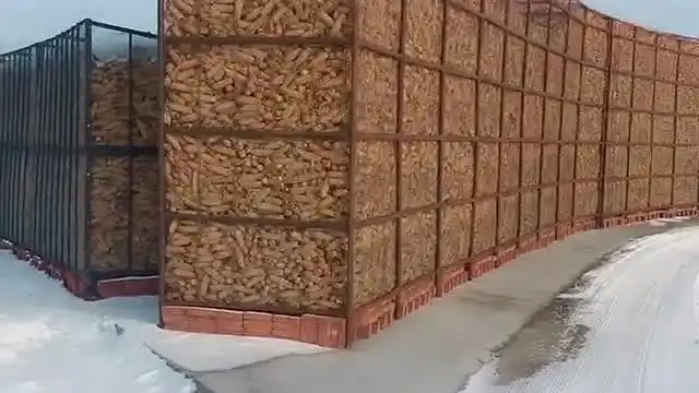 这些储存玉米的架子在我们村里形成了一道美丽的风景线长见识了