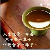 人生如茶不会苦一辈子头像_微信头像图片大全