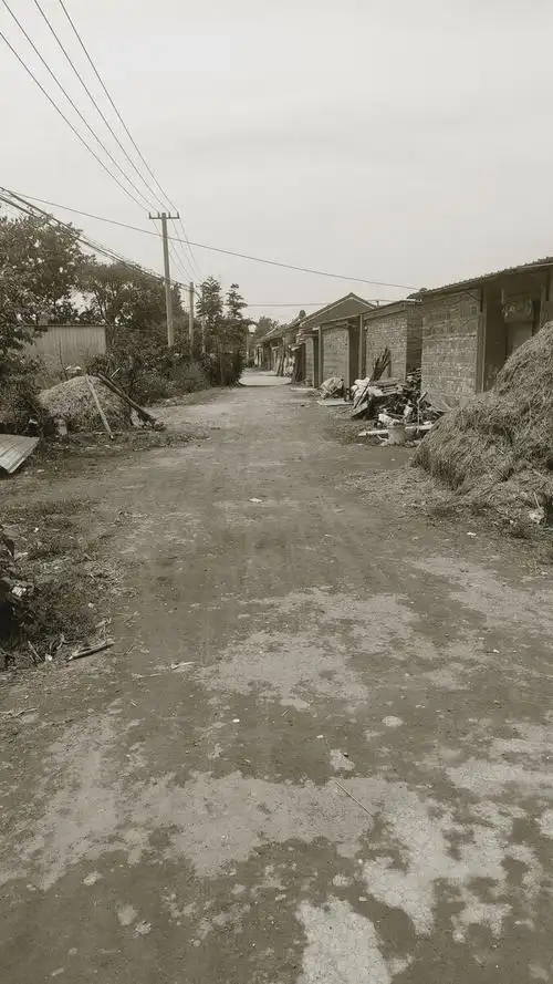 老旧的农村别样的景色