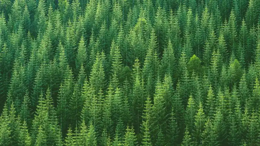 360护眼壁纸图片(360护眼壁纸在哪个文件夹)_友友