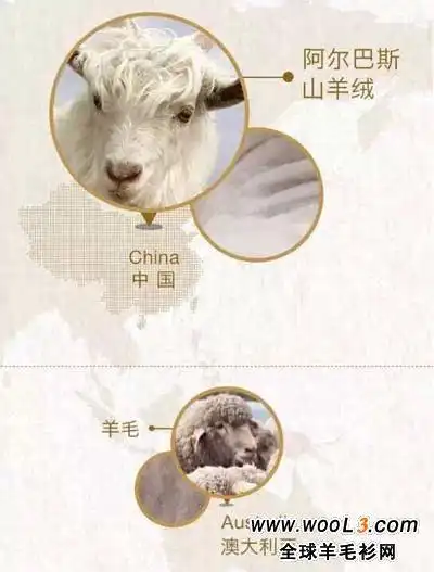一张图看懂羊绒与羊毛的区别