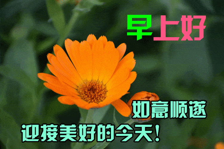 2020早上好问候祝福语句子,朋友圈早上好祝福语动态图片带字