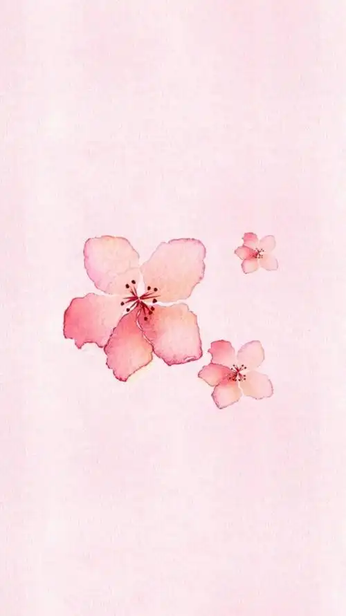 pink 粉色系 少女心 卡通 可爱 小清新 简约 森系 文艺 动漫 手绘