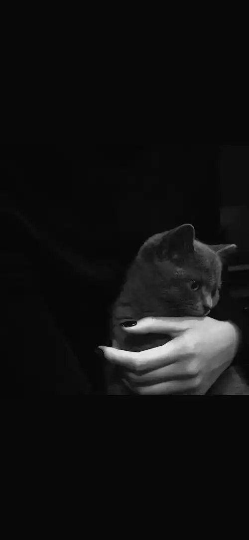 超清ins冷淡风壁纸黑色系