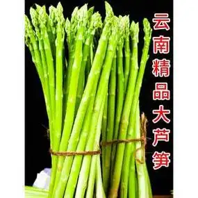 云南芦笋新鲜产地直销现挖5斤嫩青笋绿鲜芦笋嫩当季蔬菜包邮卢笋3