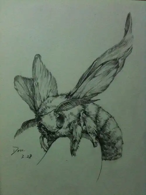 荒芜岛【c41】 的喜欢